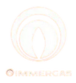 Immergas